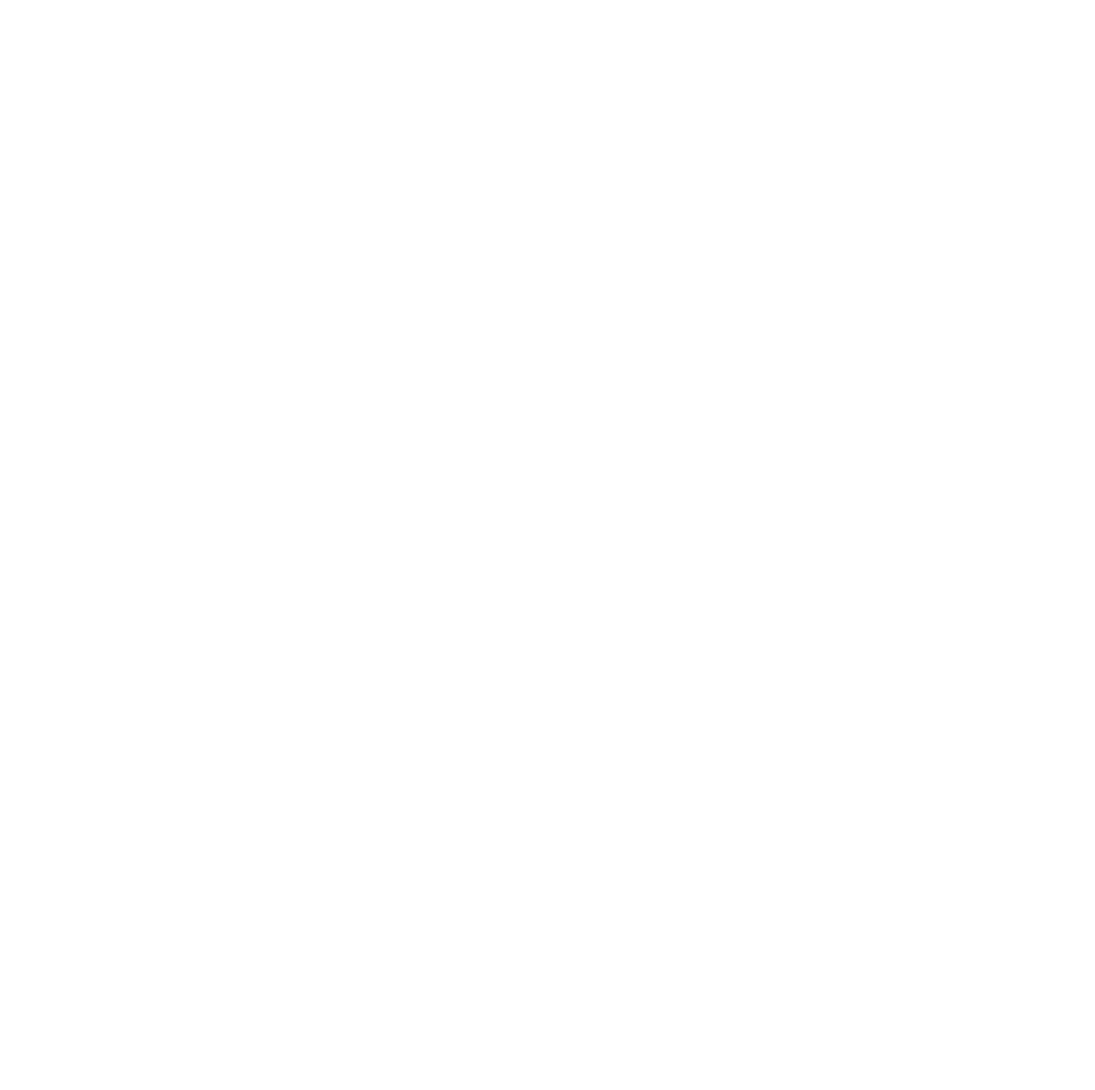 Vision vindö logo vit
